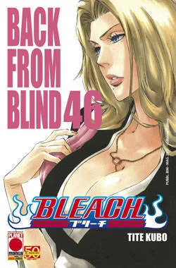 Bleach, Vol. 46: Back From Blind