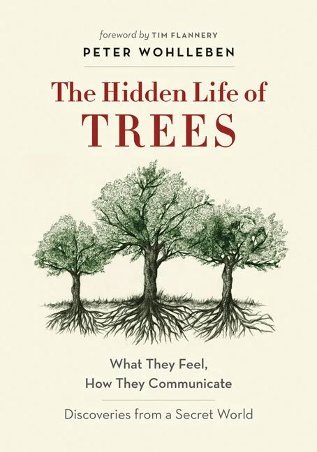 The Hidden Life of Trees: What They Feel, How They Communicate: Discoveries from a Secret World
