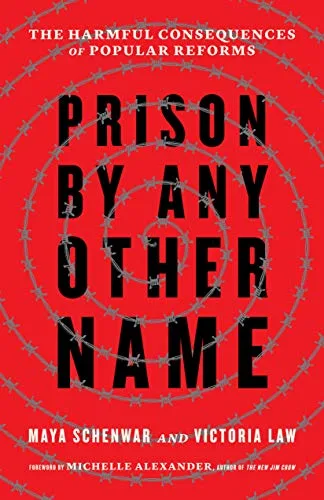 Prison by Any Other Name: The Harmful Consequences of Popular Reforms