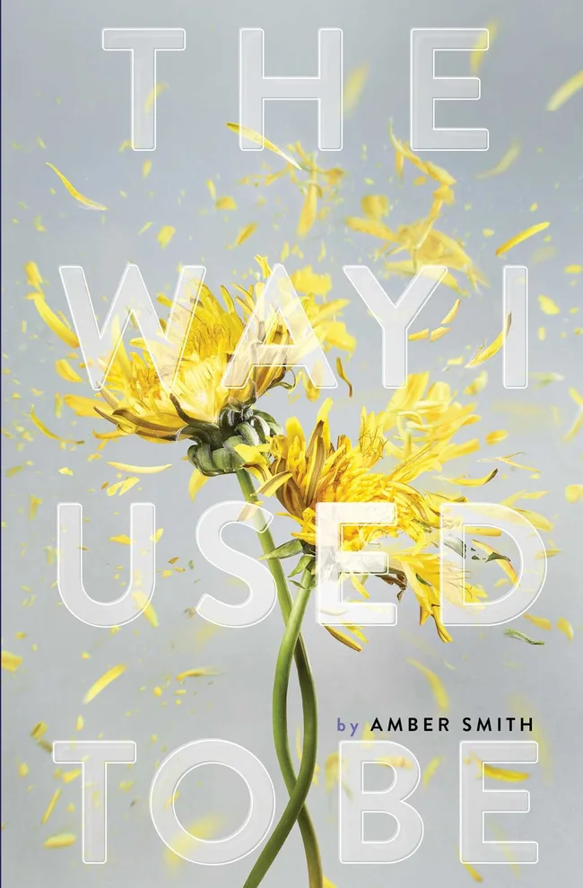 The Way I Used to Be (The Way I Used to Be, #1)
