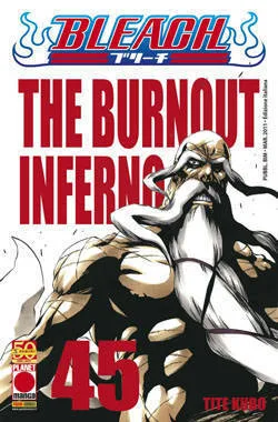 Bleach, Vol. 45: The Burnout Inferno