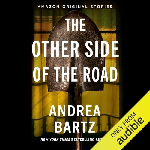 The Other Side of the Road (Never Tell Collection, #3)