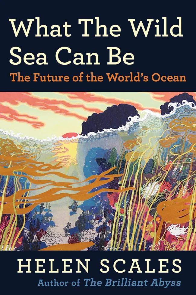 What the Wild Sea Can Be: The Future of the World’s Ocean