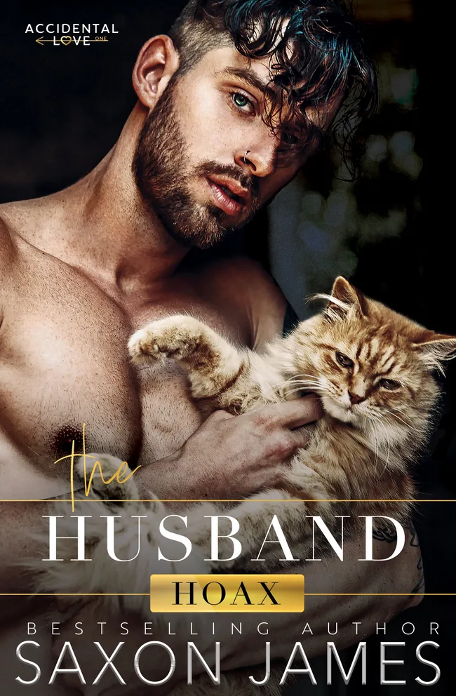 The Husband Hoax (Accidental Love, #1)