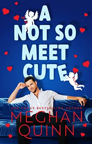 A Not So Meet Cute (Cane Brothers, #1)