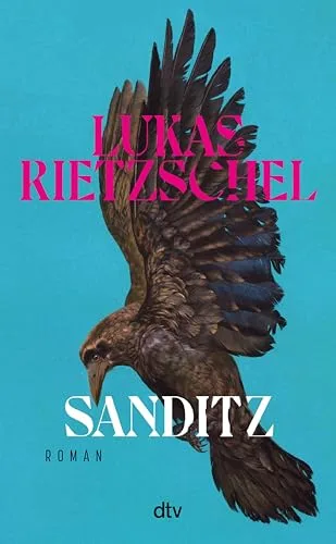 Sanditz: Roman | Das große Epos der Nachwendezeit: »Rietzschel ist eine der wichtigsten jungen Stimmen Ostdeutschlands.« Frankfurter Allgemeine Zeitung (German Edition)