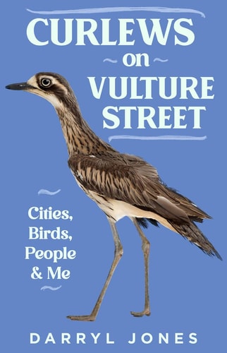 Curlews on Vulture Street Cities, Birds, People & Me