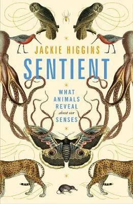 Sentient: What Animals Reveal About Our Senses