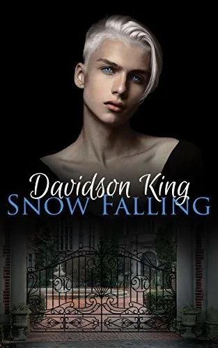 Snow Falling (Haven Hart Universe, #1)