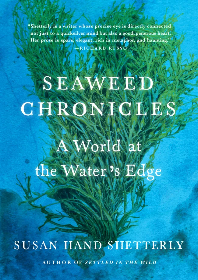 Seaweed Chronicles: A World at the Waterβs Edge