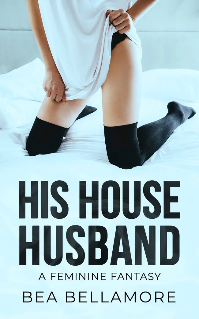 His House Husband: A Feminine Fantasy