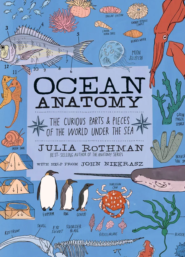 Ocean Anatomy: The Curious Parts  and Pieces of the World under the Sea