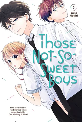 Those Not-So-Sweet Boys, Vol. 3