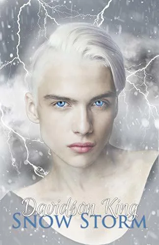 Snow Storm (Haven Hart Universe, #5)