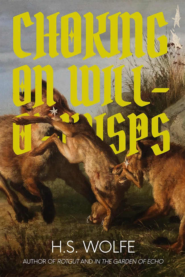 Choking On Will-O'-Wisps