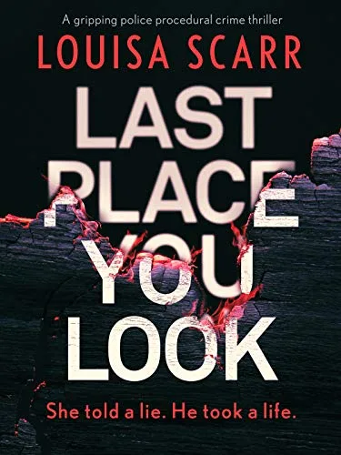 Last Place You Look (Butler & West #1)