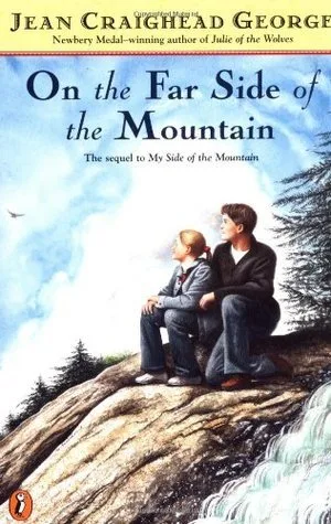 On the Far Side of the Mountain (Mountain, #2)