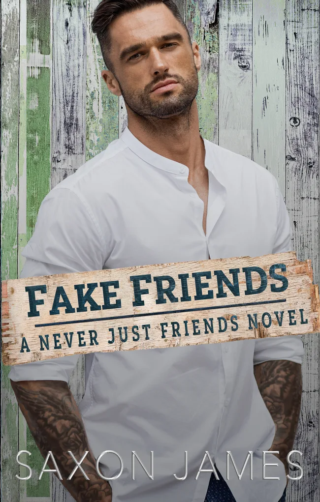 Fake Friends (Never Just Friends, #2)