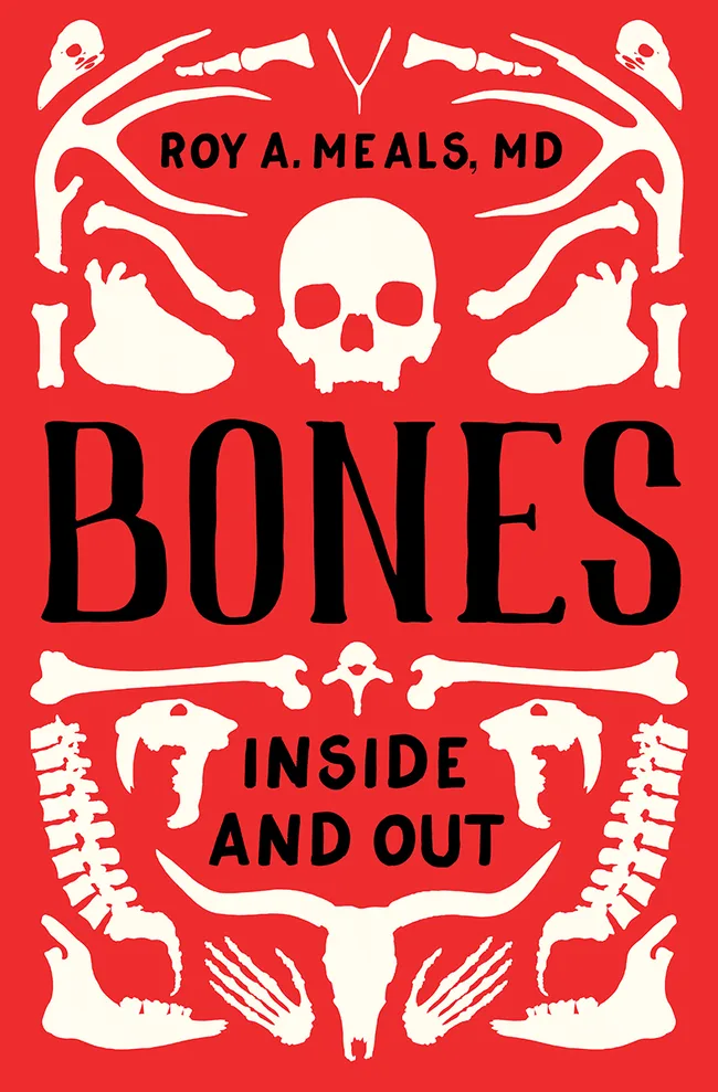 Bones: Inside and Out