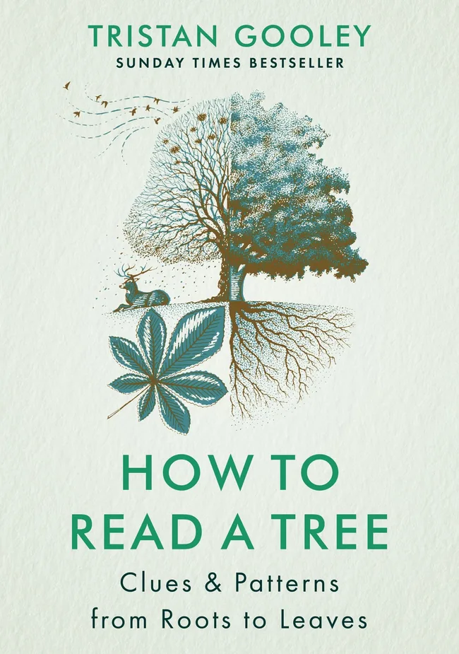 How to Read a Tree: Clues and Patterns from Bark to Leaves