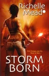 Storm Born (Dark Swan, #1)