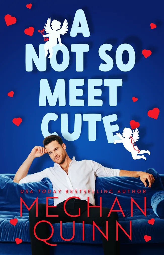 A Not So Meet Cute (Cane Brothers, #1)