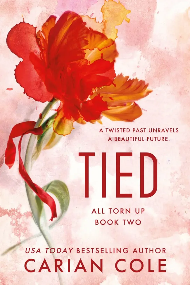 Tied (All Torn Up, #2)