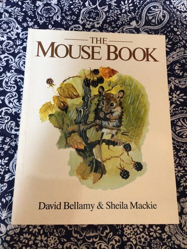 The Mouse Book