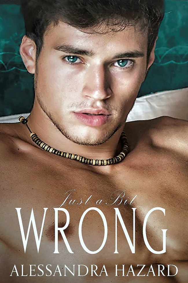 Just a Bit Wrong (Straight Guys, #4)