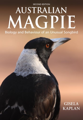 Australian Magpie Biology and Behaviour of an Unusual Songbird