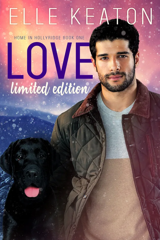 Love - Limited Edition (Home in Hollyridge #1)