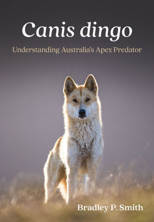 Canis dingo Understanding Australia's Apex Predator