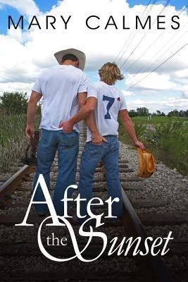 After the Sunset (Timing, #2)