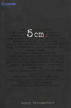 5 cm