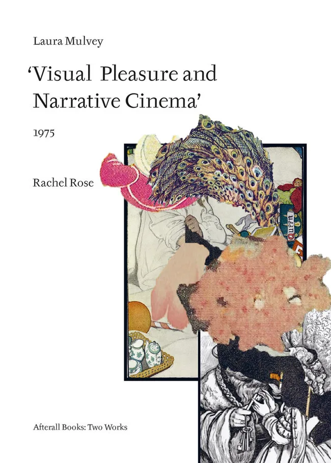 Visual Pleasure and Narrative Cinema