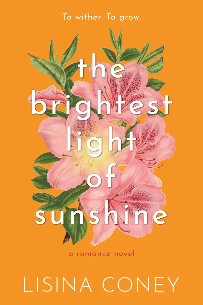 Brightest Light of Sunshine (The Brightest Light, #1)